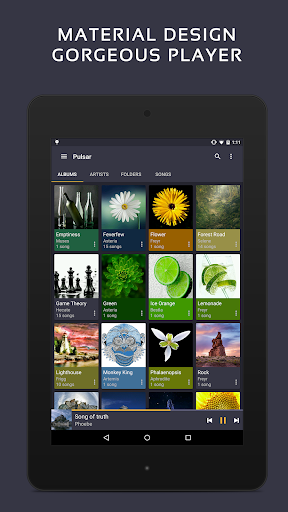 Pulsar Music Player Pro Screenshot 9