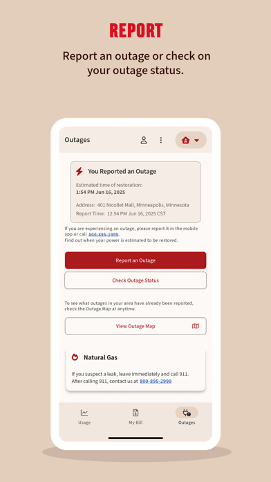 Xcel Energy Screenshot 3