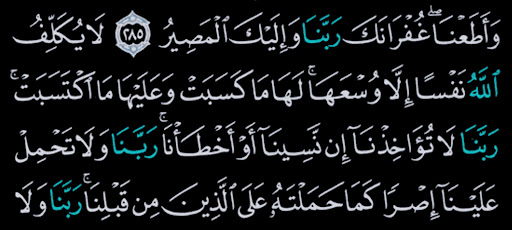 القرآن الكريم كامل بدون انترنت Screenshot 4