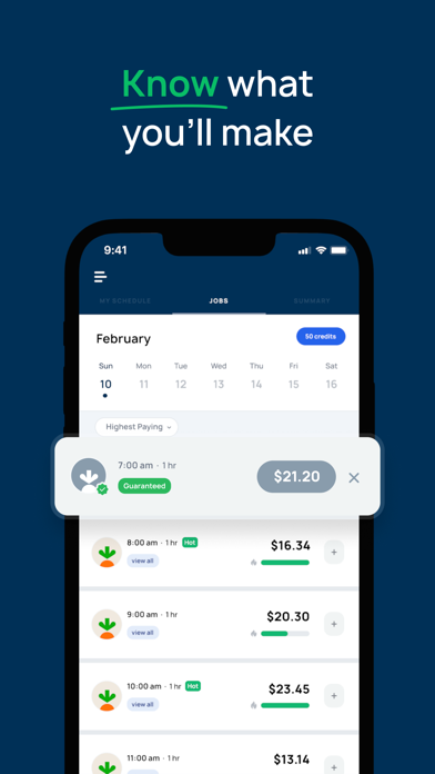Solo: Your Gig Business App Screenshot 6