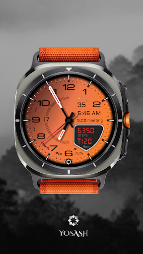 D355 Premium Watch Face Screenshot 4