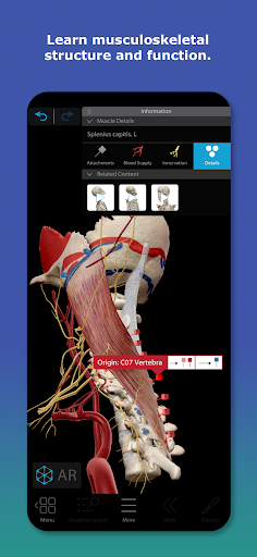 Human Anatomy Atlas 2026 Screenshot 3