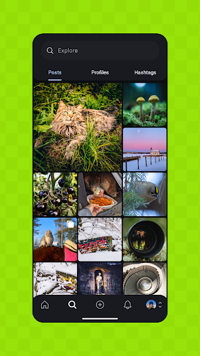Pixelix - A Pixelfed Client Screenshot 2