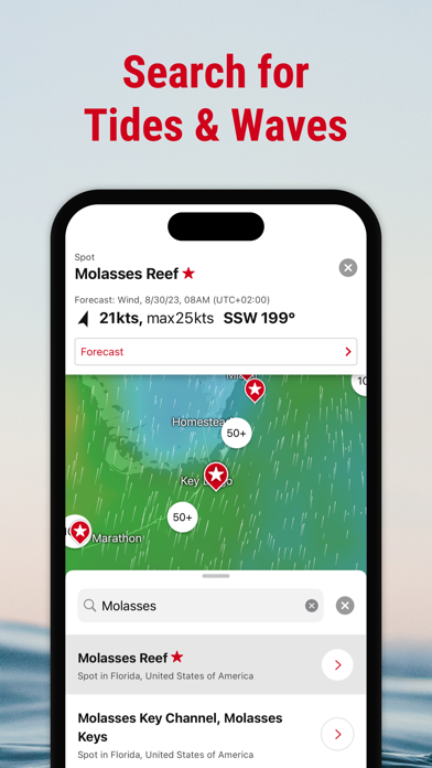 Windfinder Pro: Wind & Weather Screenshot 8