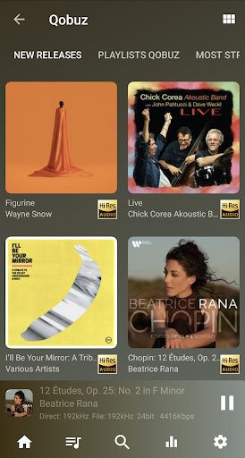 USB Audio Player PRO Screenshot 6