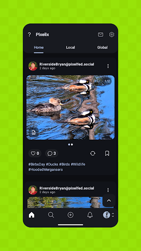 Pixelix - A Pixelfed Client Screenshot 1