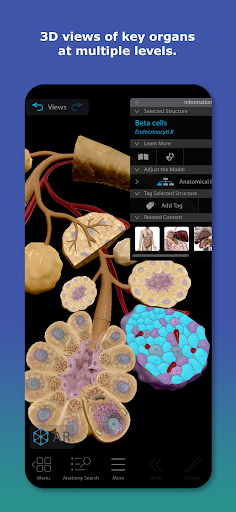 Human Anatomy Atlas 2026 Screenshot 2
