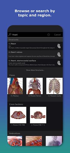 Human Anatomy Atlas 2026 Screenshot 4