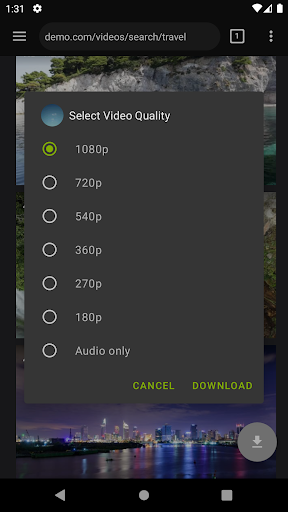 Video Downloader Pro Screenshot 3