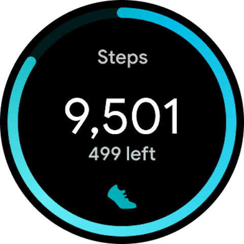Fitbit Screenshot 8