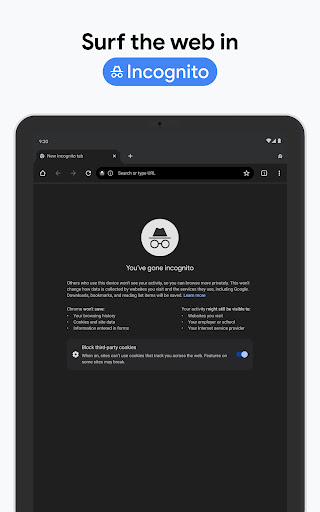Google Chrome Screenshot 9