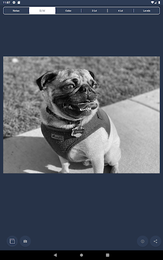 NotanIzer Screenshot 12