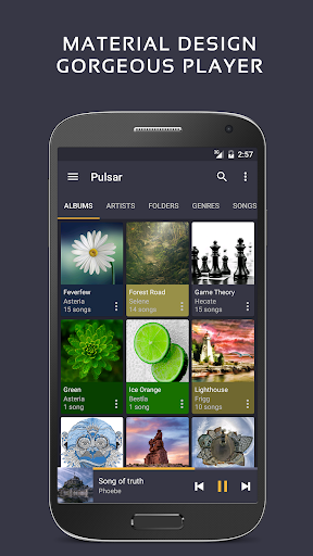 Pulsar Music Player Pro Screenshot 9