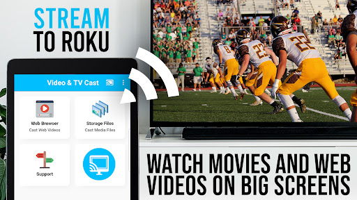TV Cast Pro for Roku Screenshot 11