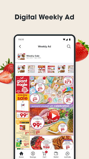 Giant Eagle Screenshot 8