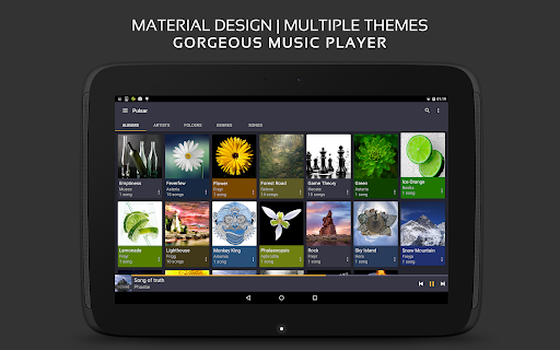 Pulsar Music Player Pro Screenshot 10