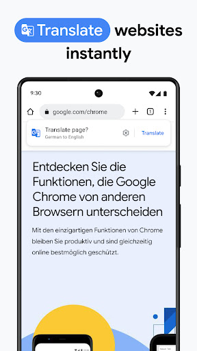 Google Chrome Screenshot 12