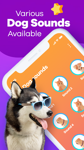 Human to Dog Translator Screenshot 15