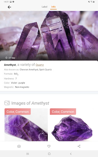 Rock Identifier: Stone ID Screenshot 11