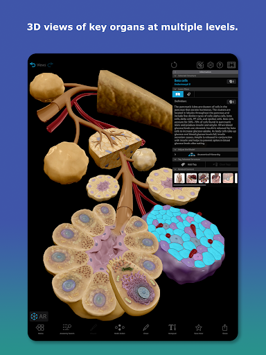 Human Anatomy Atlas 2026 Screenshot 13