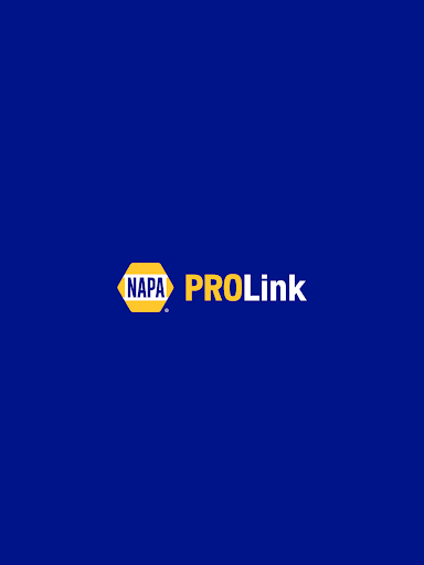 NAPA PROLink Screenshot 7