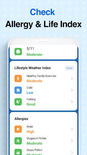 Weather Screen - Forecast Screenshot 7
