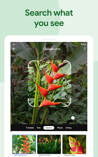 Google Photos Screenshot 5