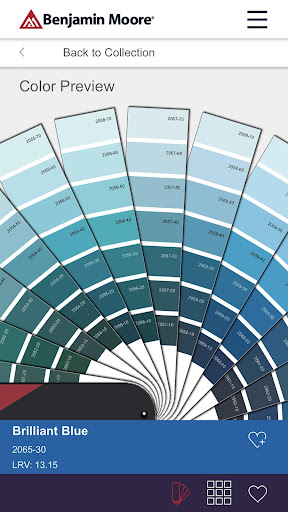 Color Portfolio Screenshot 6