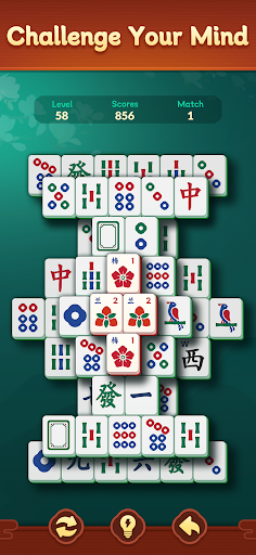 Shanghai Mahjongg Screenshot 12