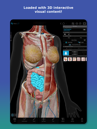 Human Anatomy Atlas 2026 Screenshot 8