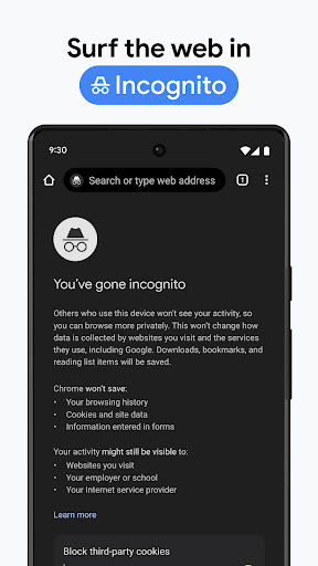 Google Chrome Screenshot 17