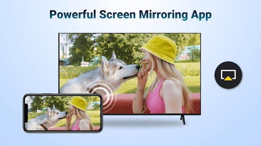 AirMirror: TV Cast via AirPlay Screenshot 15