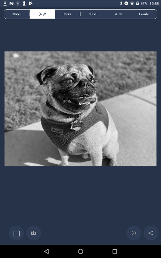 NotanIzer Screenshot 2