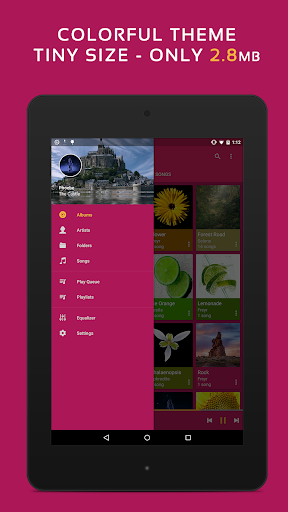 Pulsar Music Player Pro Screenshot 8