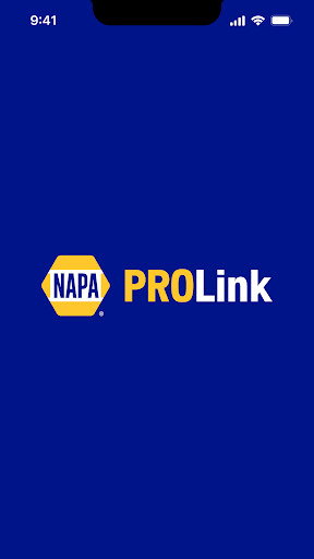 NAPA PROLink Screenshot 5