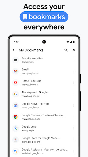 Google Chrome Screenshot 6