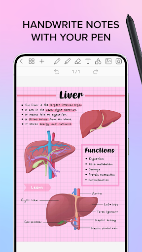 Penly: Digital Planner & Notes Screenshot 16