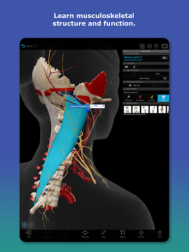 Human Anatomy Atlas 2026 Screenshot 9