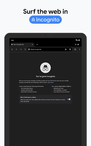 Google Chrome Screenshot 14