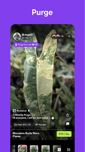 Palmstreet: Buy & Sell LIVE Screenshot 13