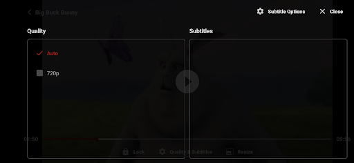 ZoZo Player - URL Video Player Screenshot 5