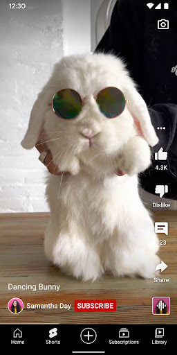 YouTube Screenshot 5