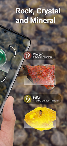 Rock Identifier: Stone ID Screenshot 3